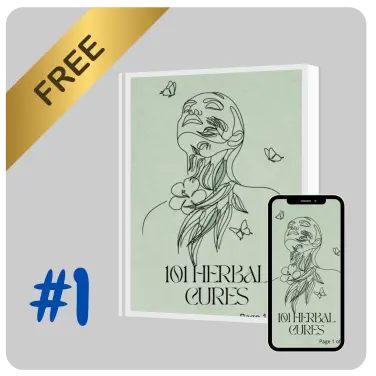MaroBrain Bonus 1